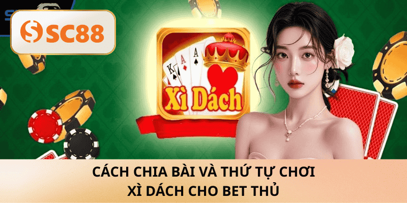 Cách chia bài và thứ tự chơi Xì Dách cho bet thủ