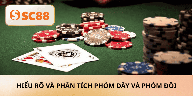 Hiểu rõ và Phân tích phỏm dây và phỏm đôi